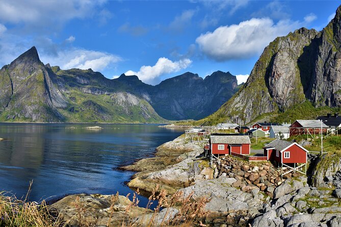 Special Summer Cruise Bus Tour of Lofoten - Sakrisøya supplies color and close-up detail