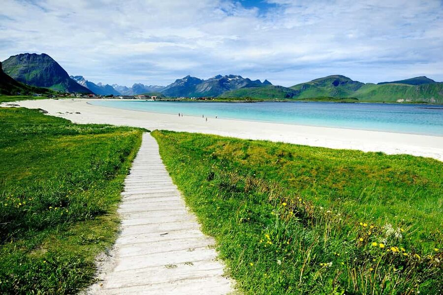 Special Summer Cruise Guided Tour of Lofoten - Who should book this excursion?