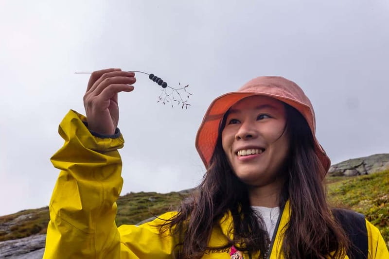 Stavanger: Kjerag Summer Hike with Packed Lunch - Why Kjerag Is Worth the Work