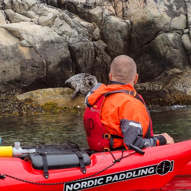 Stavanger: Lysefjord Kayak Safari (Waterfalls & Pulpit Rock) - What the $291 price gets you