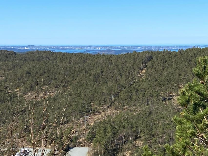 Stavanger: Preikestolen Tour with Guide and Pickup - Who will enjoy this excursion most