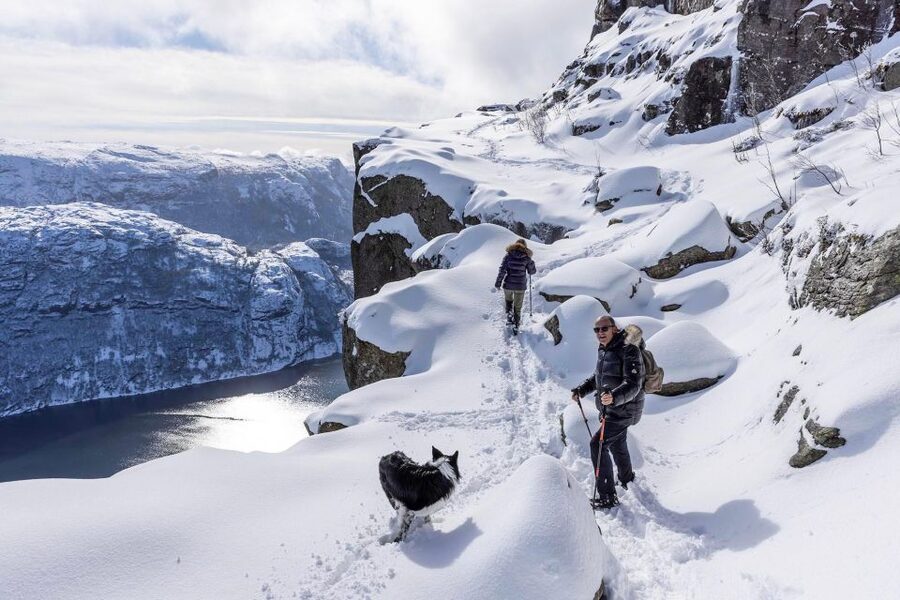 Stavanger: Preikestolen Winter Hike + Hot Lunch - Who should book this hike