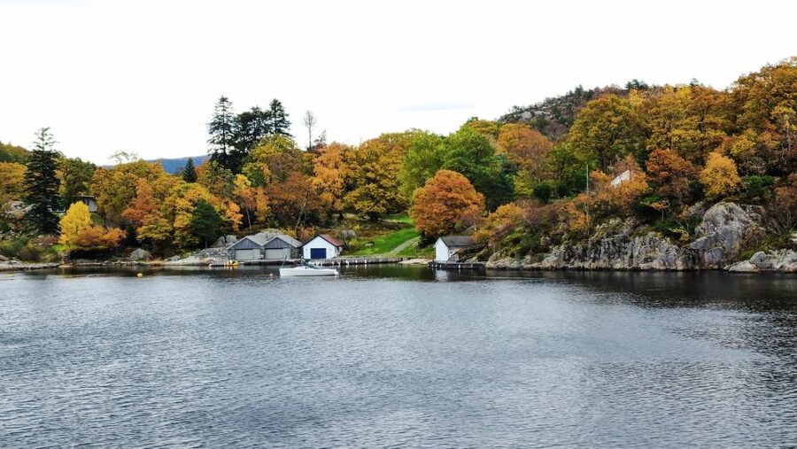 Stavanger: Scenic Fjord Cruise to Lysefjord and Preikestolen - Is $82 a fair price?