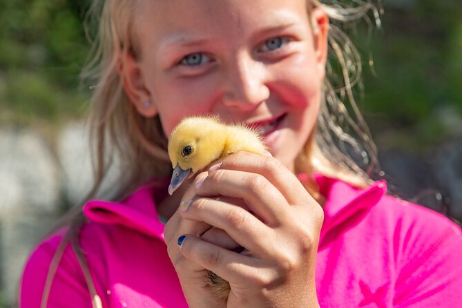 Steim Farm Experience in Vik, Norway - Key points to know before you book