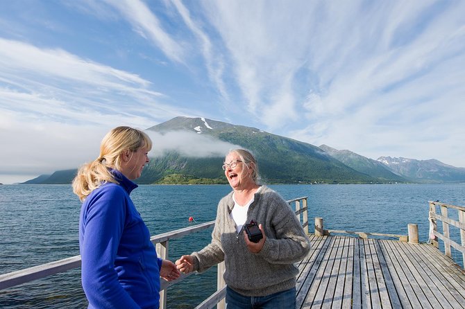 Summer Fjord Road Trip with Citizen Science with Wandering Owl - Ersfjord and Grøtfjord: the main scenic stretch