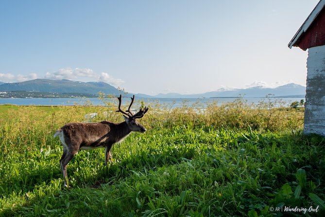 Summer Fjord Road Trip with Citizen Science with Wandering Owl - Toilets and other practical matters