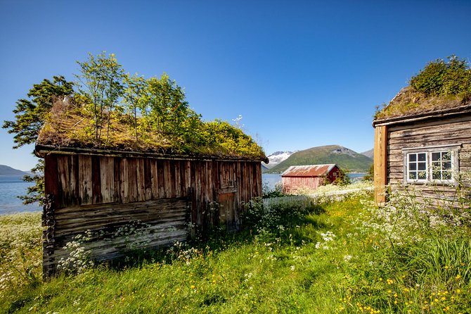 Summer Fjord Road Trip with Citizen Science with Wandering Owl - Beaches, reindeer, and the pleasures of stopping often