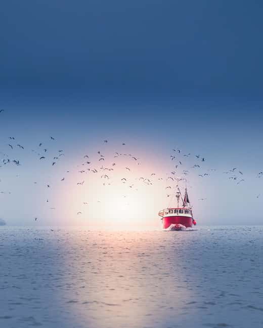 Svolvær and Henningsvær Sightseeing and History Tour - Who will get the most from this five-hour route