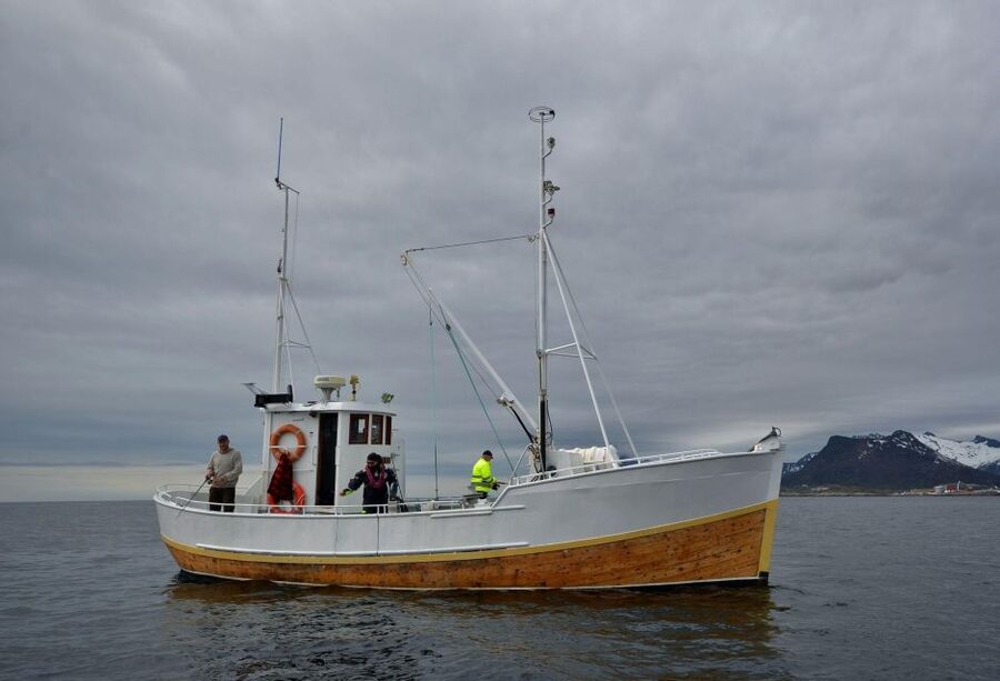 Svolvær: Fishing Trip on the Lofoten Sea - Learning the basics before the first catch