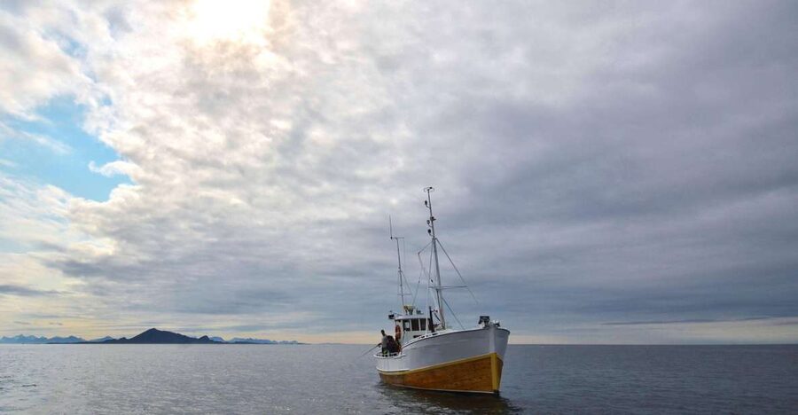 Svolvær: Fishing Trip on the Lofoten Sea - What fishing from MS Luna is like