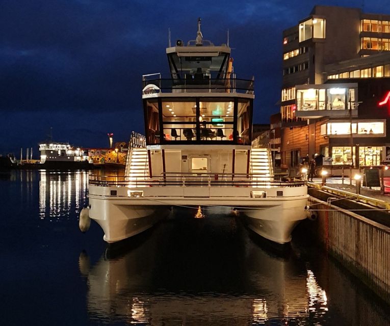 Svolvær: Northern Lights and Full Steam Cruise with Tasting - Key points before you book