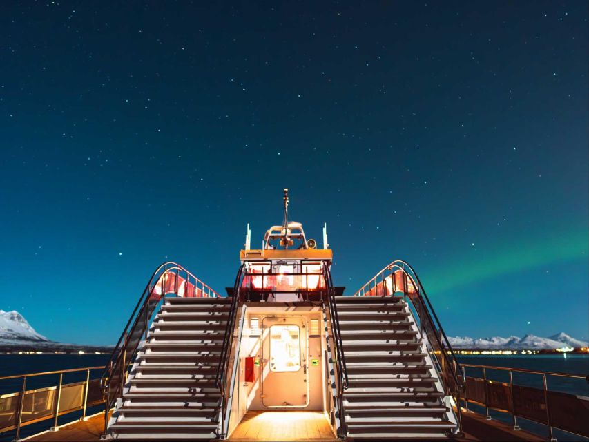 Svolvær: Northern Lights and Full Steam Cruise with Tasting - Who will enjoy this cruise most