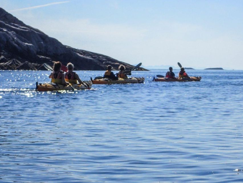 Svolvaer: Sea Kayaking Experience - Key points at a glance