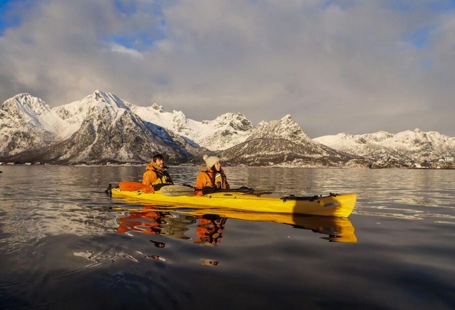 Svolvaer: Sea Kayaking Experience - Watching seabirds and the white-tailed sea eagle