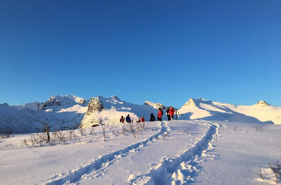 Svolvær: Snowshoe Nature Explorer - Reaching viewpoints, lakes, and small summits
