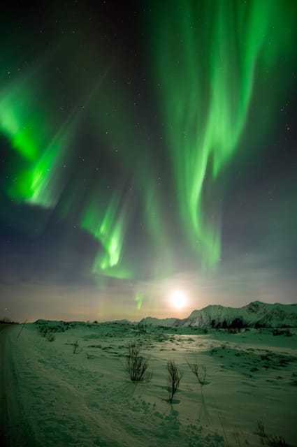 Svolvær: Ultimate Aurora Hunt - Stop two or three: finding a better sky
