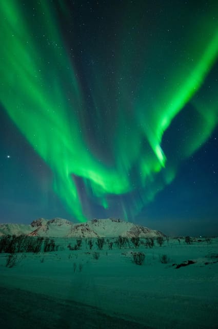 Svolvær: Ultimate Aurora Hunt - Hot drinks and the practical side of waiting