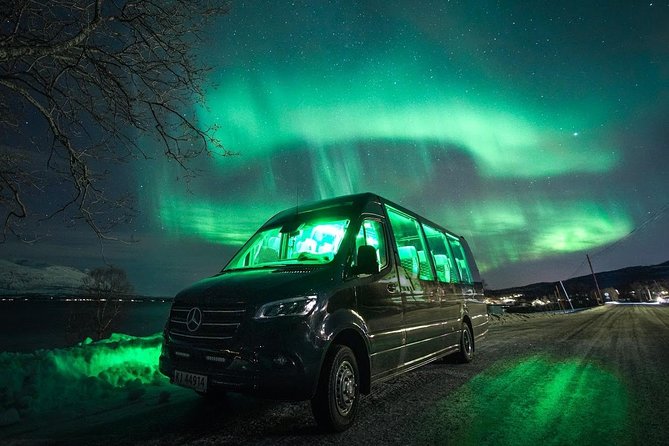 Symphony - Arctic Breeze, teamining up with nature. - Oscar, Brynjar, and the human side of the tour