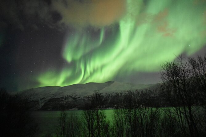 The Aurora Tour - small group, northern lights - Photography help and souvenir images