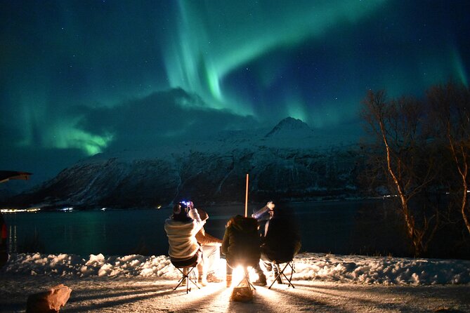 The Aurora Tour - VIP trip for northern lights, aurora borealis - Key points to know before you book