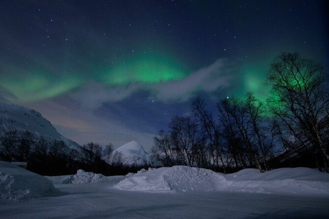 The Aurora Tour - VIP trip for northern lights, aurora borealis - Campfire food, wine, and useful warmth