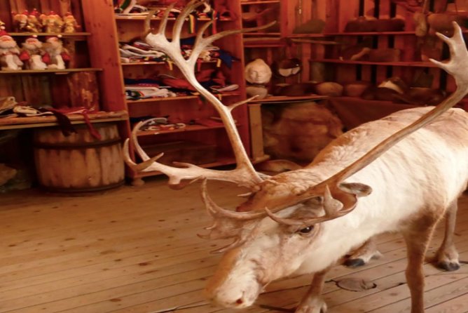 The North Cape, Reindeer and Sami Families Tour - Fishing villages and Honningsvåg