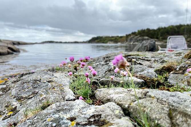 The Southern Norwegian Archipelago Experience - Fishing for pollock, mackerel, and more