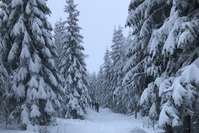 The Ultimate Norwegian Skiing Experience - The Norwegian snack and hot chocolate stop