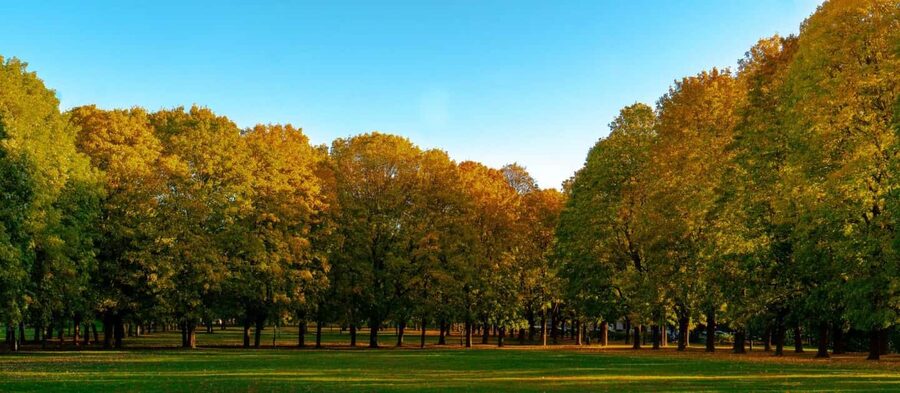 The Vigeland Park in Oslo: Insta-Perfect Walk with a Local - Who will enjoy this park walk most