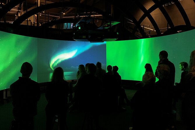 The Viking Planet Museum - Mini Group (4 adults) - What the experience does especially well