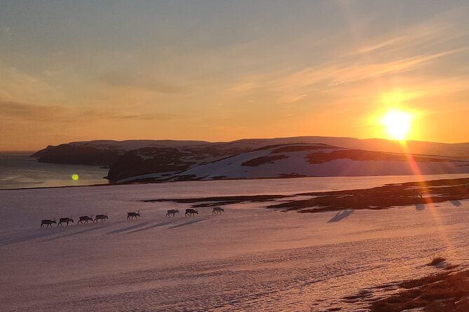 The VIP North Cape Tour - Leaving Honningsvåg for the Arctic coast