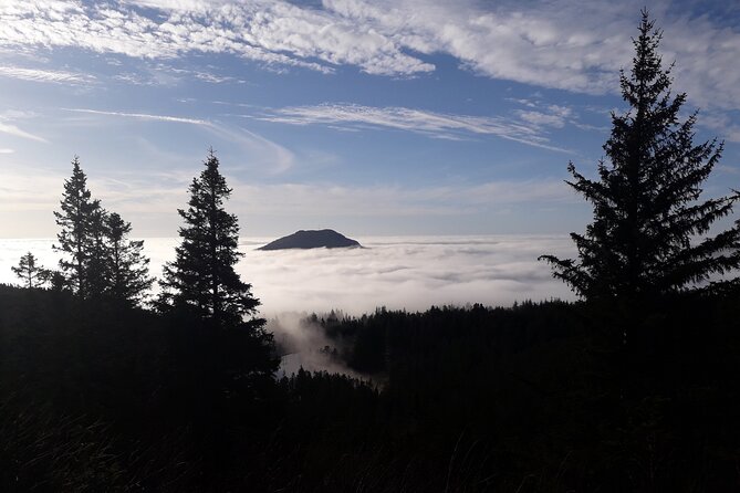 Three-summit hike in Bergen - The Arctic Berry Treat