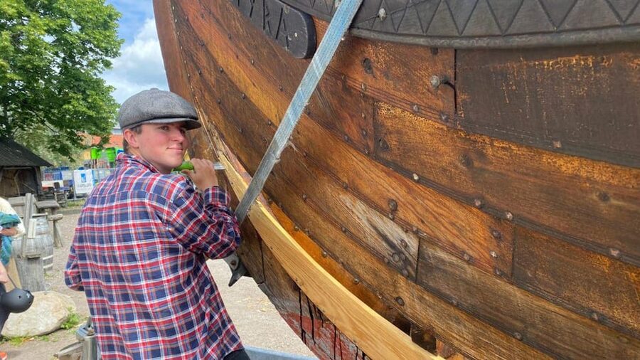 Tønsberg: Walk with a Viking - Guided Tour - Oseberg and Gokstad: why the local setting matters