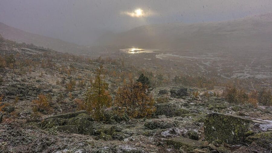 Trolltunga Autumn Hike Go Viking - Is $181 good value for this private mountain day?