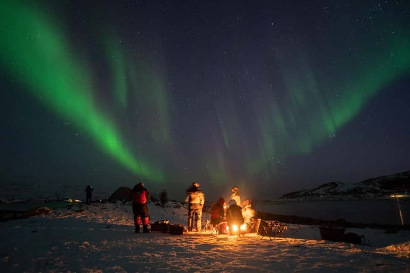 Tromsø: Adult Only Aurora hunt with Citizen Science - Thermal suits, boots, and the right winter layers