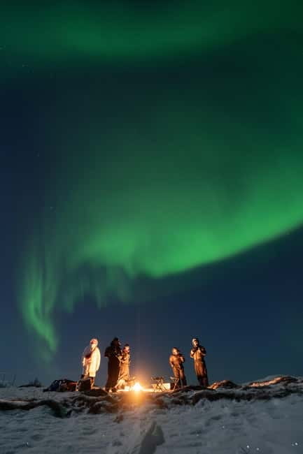 Tromsø: Adult Only Aurora hunt with Citizen Science - What the $279 price includes