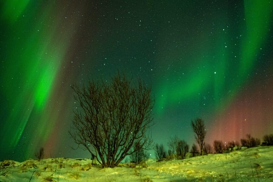 Tromsø Adventurous Northern Lights Small-Group - What the $131 price includes