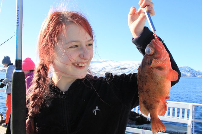 Tromsø: Arctic Fjord Cruise & Fishing Experience - A five-hour fjord outing from central Tromsø