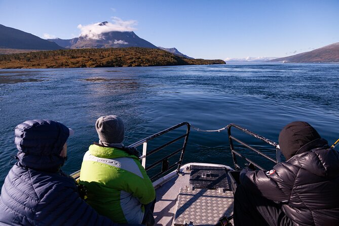 Tromsø: Arctic Fjord Cruise & Fishing Experience - How the price measures up at $156.08