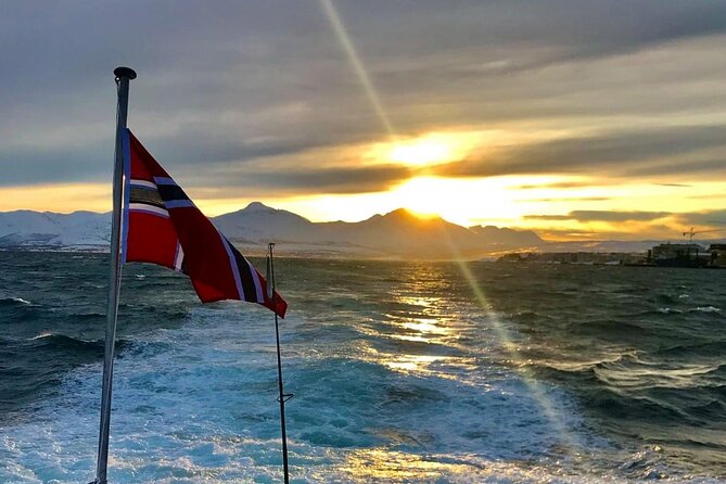Tromsø: Arctic Fjord Cruise & Fishing Experience - Weather, wildlife, and the right expectations