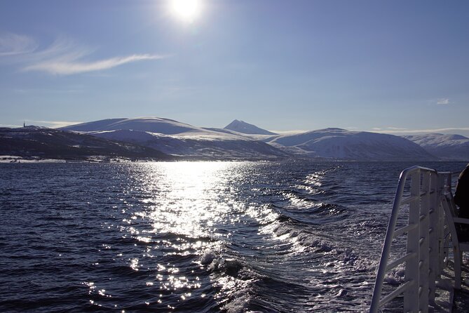 Tromsø: Arctic Fjord Cruise & Fishing Experience - Who should book this Tromsø cruise