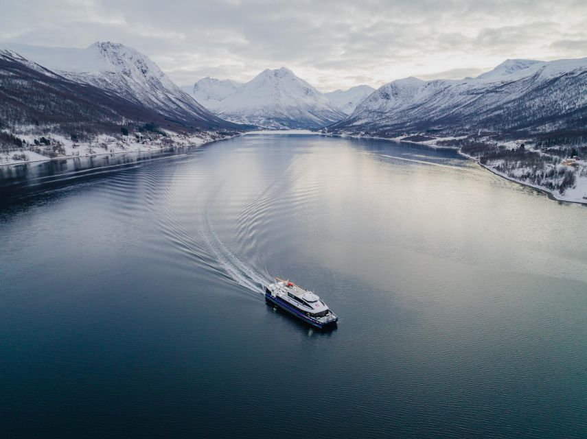 Tromsø: Arctic Fjord Cruise in Polar Landscapes - Final call: a strong choice for scenic Tromsø