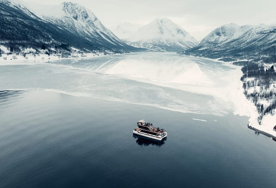 Tromsø: Arctic Fjord Cruise With Stop On Land At Fish Racks - Key points at a glance