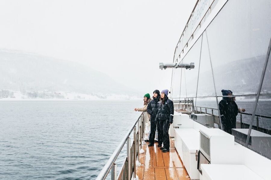 Tromsø: Arctic Fjord Cruise With Stop On Land At Fish Racks - Ramfjorden and the first wide views