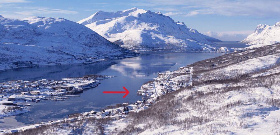Tromsø: Arctic Fjord Floating in Survival Suit - Who should book, and who should skip it?