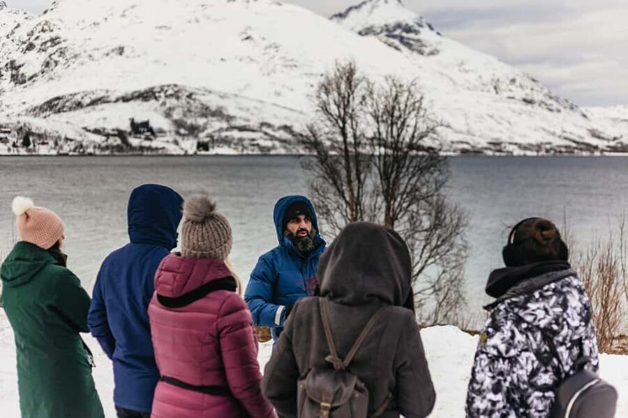 Tromsø: Arctic Landscape and Fjord Tour with Snacks - Fjordvegen 1156 and the road to Grøtfjorden