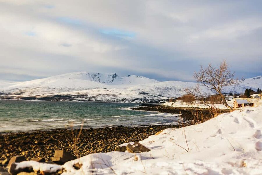 Tromsø: Arctic Landscape and Fjord Tour with Snacks - Karigambukta and the Arctic snack stop