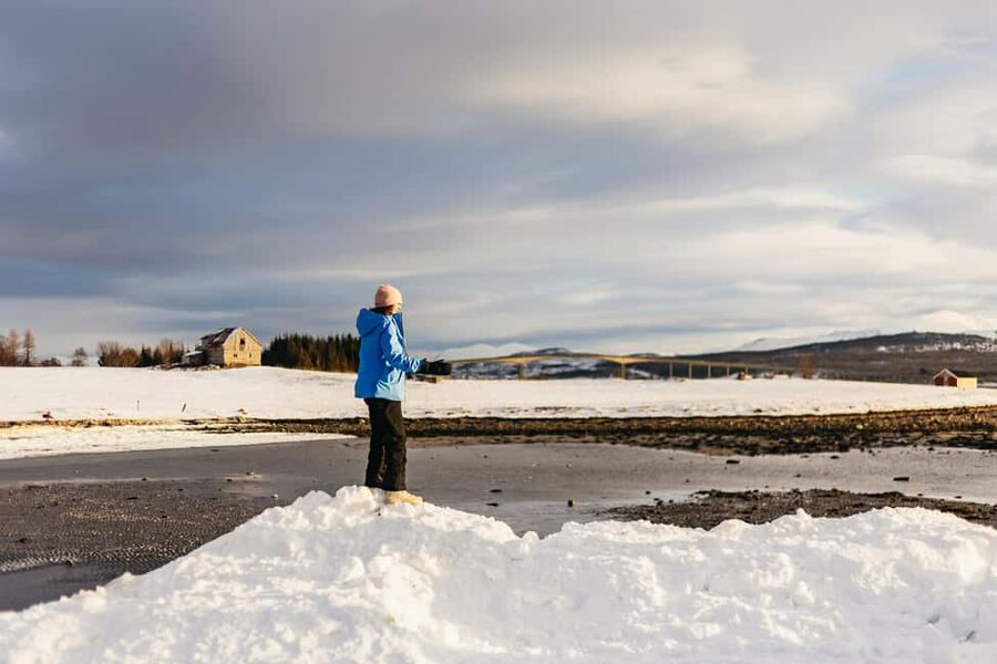 Tromsø: Arctic Landscape and Fjord Tour with Snacks - Weather, clothing, and comfort in the van