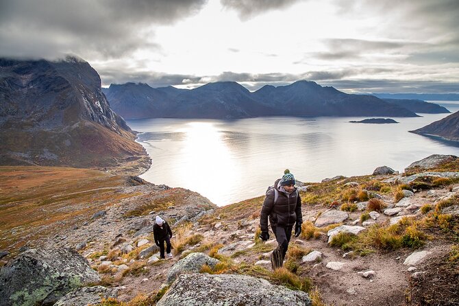 Tromsø: Arctic Landscapes Hiking / Snowshoeing Tour in the wild - Who should book this outing