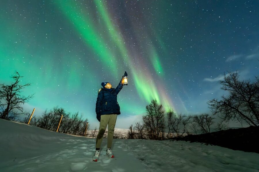 Tromsø: Aurora Borealis, Campfire, Hot Meal, Arctic Tour - Key points to know before you book